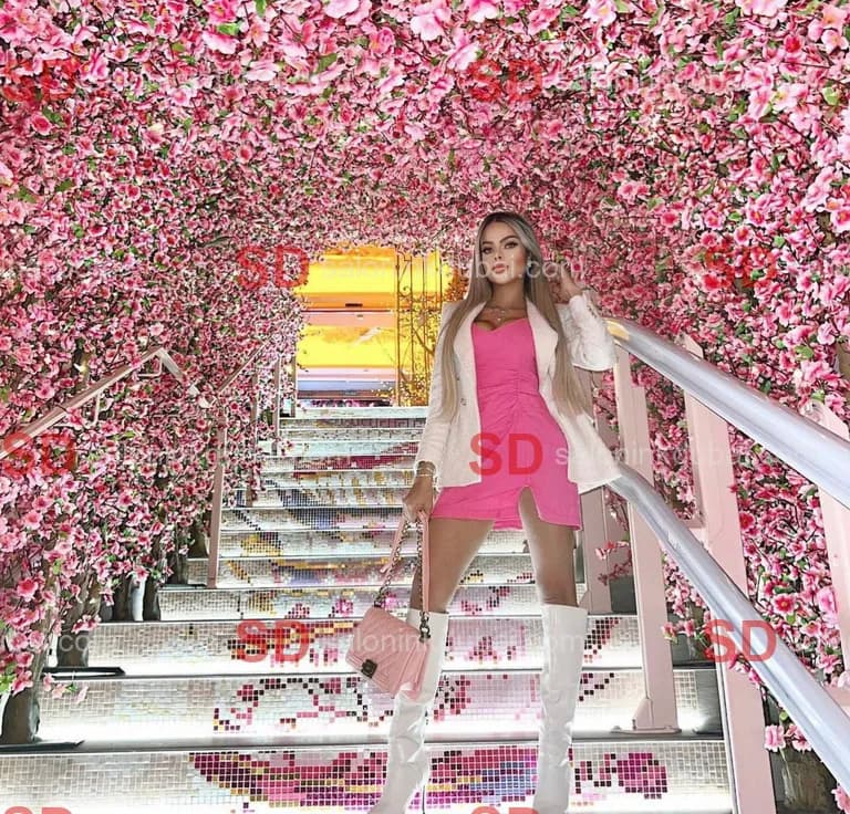 Holly — escort in Dubai
